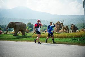 BIB: 
                            <button type="button" onclick="openModal(22436814)" class="btn btn-primary btn-sm float-right btn-popup" data-toggle="modal" data-target=".modal-high-quality">
                        <i class="fas fa-shopping-cart"></i> Add to Cart
                    </button>
                                            <button type="button" onclick="isThisMe(22436814, true)" class="btn btn-success btn-sm float-right btn-popup btn-isme hidden" data-toggle="tooltip" data-placement="bottom" title="นี่คือรูปของคุณใช่ไหม คลิกที่นี่เพื่อเอาเข้าอัลบั้ม">
                        <i class="fas fa-plus"></i> Add to album
                    </button>
                    <button type="button" onclick="isThisMe(22436814, false)" class="btn btn-warning btn-sm float-right btn-popup btn-isnotme hidden">
                        <i class="fas fa-ban"></i> Remove from album
                    </button>